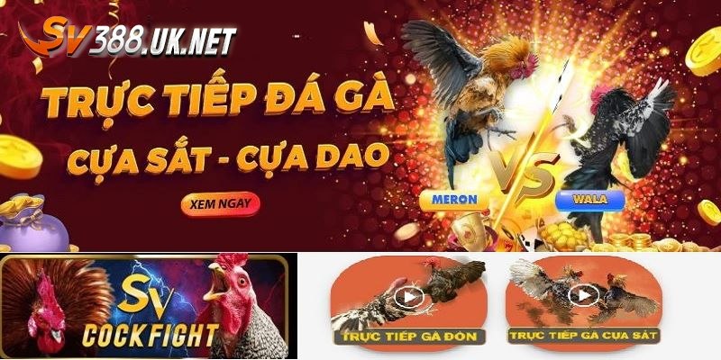 5 lý do nên tải SV388 ngay hôm nay